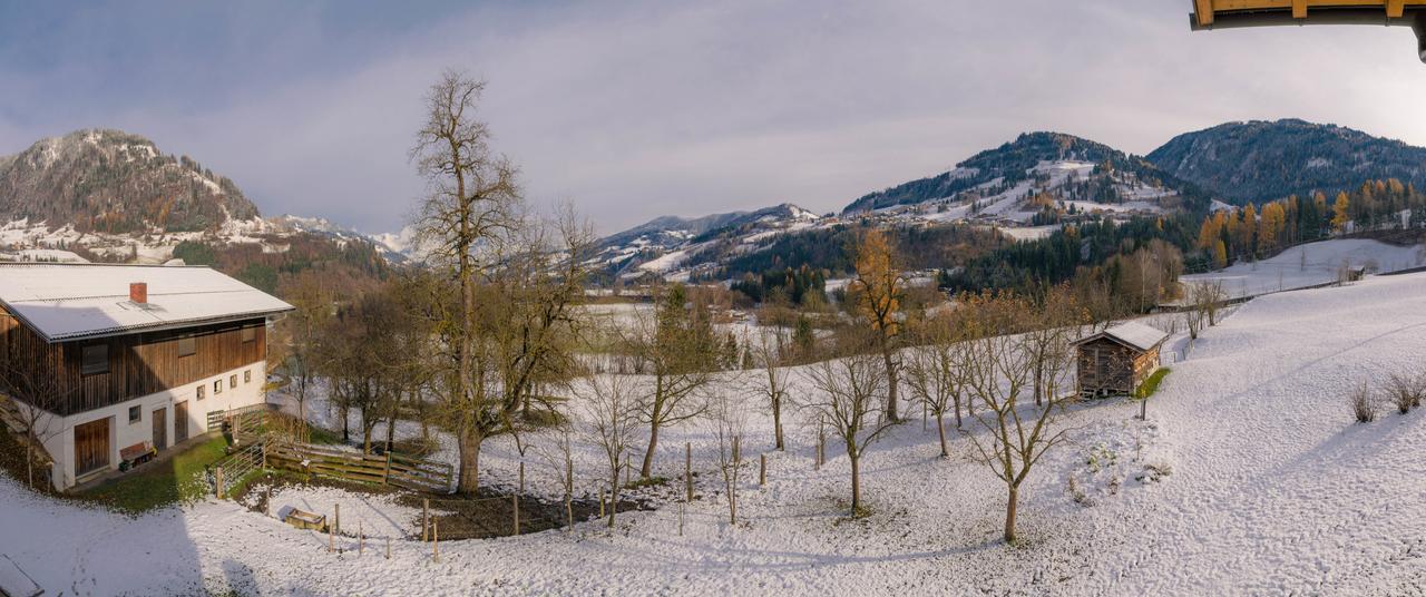 Appartementhaus Unterrain Niederuntersberg Luaran gambar